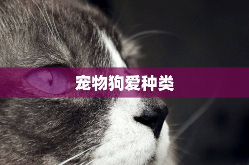 寵物狗愛種類