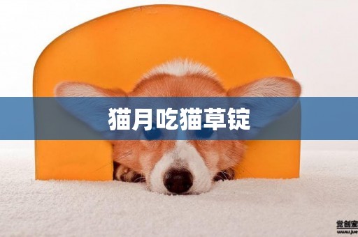 貓月吃貓草錠