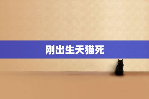 剛出生天貓死