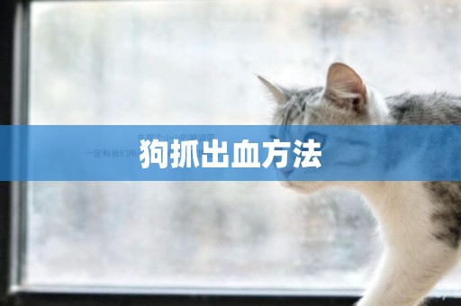 狗抓出血方法