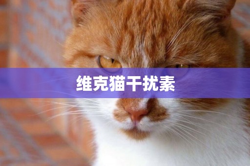 維克貓干擾素