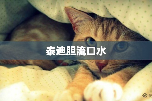 泰迪膽流口水