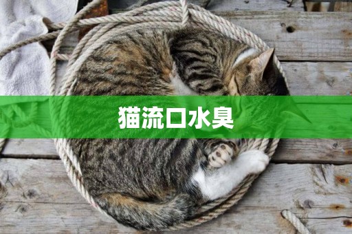 貓流口水臭