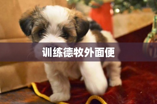 訓練德牧外面便