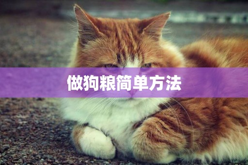 做狗糧簡單方法