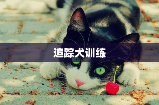 追蹤犬訓練
