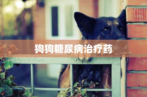 狗狗糖尿病治療藥
