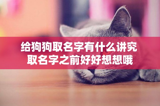 給狗狗取名字有什么講究 取名字之前好好想想哦