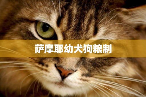薩摩耶幼犬狗糧制