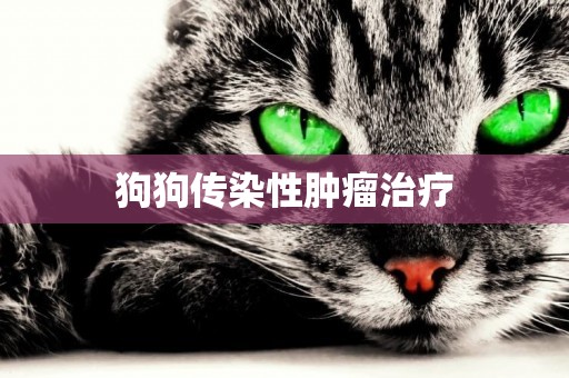 狗狗傳染性腫瘤治療