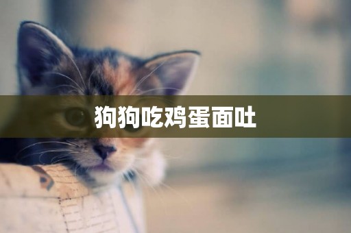 狗狗吃雞蛋面吐