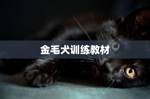 金毛犬訓練教材