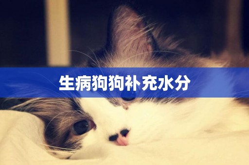 生病狗狗補充水分