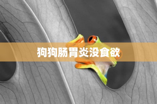 狗狗腸胃炎沒食欲