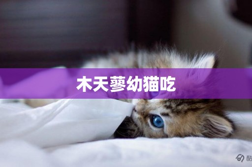 木天蓼幼貓吃