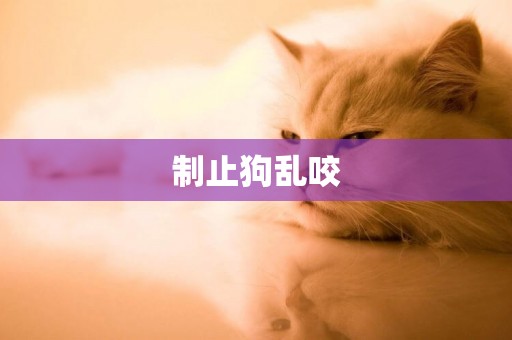 制止狗亂咬