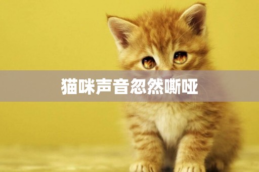 貓咪聲音忽然嘶啞