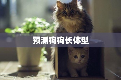 預測狗狗長體型