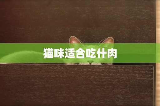 貓咪適合吃什肉