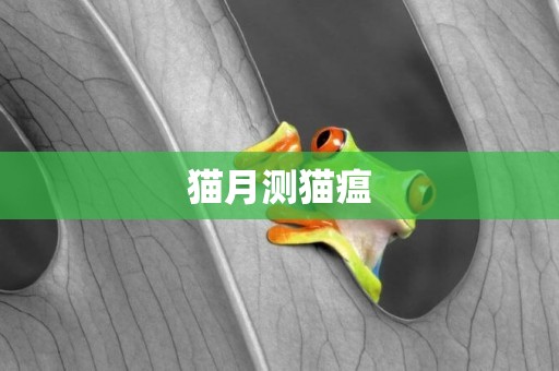貓月測貓瘟