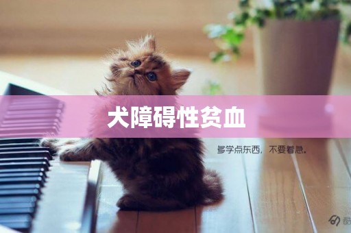犬障礙性貧血