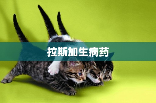 拉斯加生病藥