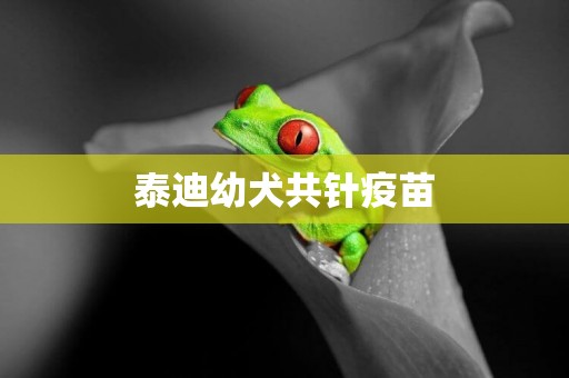 泰迪幼犬共針疫苗