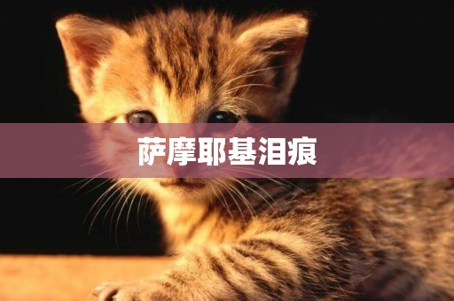 薩摩耶基淚痕