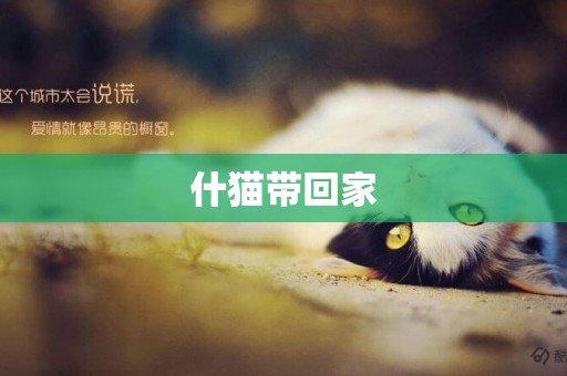 什貓帶回家