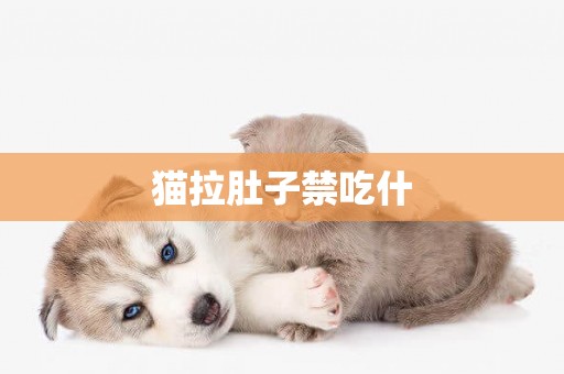 貓拉肚子禁吃什