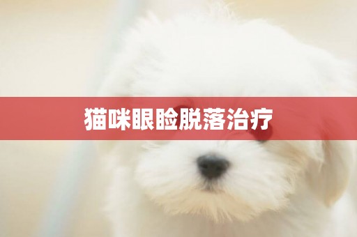 貓咪眼瞼脫落治療