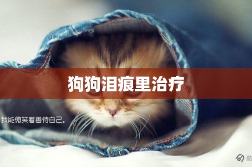 狗狗淚痕里治療