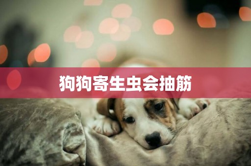 狗狗寄生蟲會抽筋
