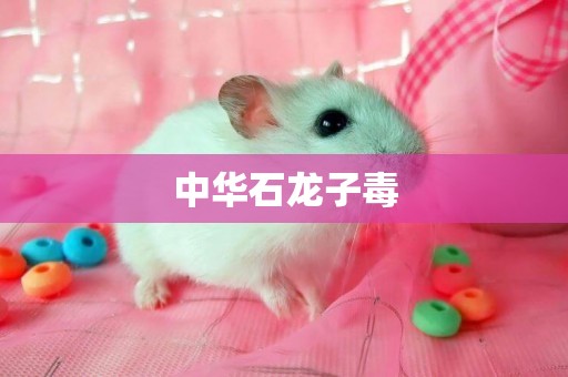中華石龍子毒