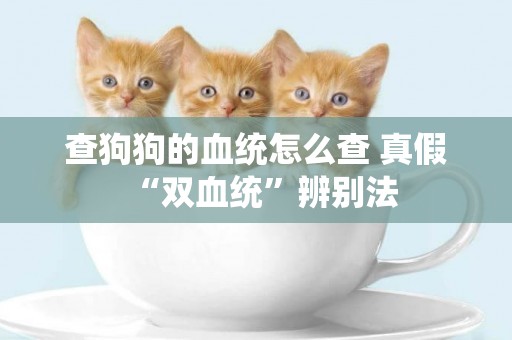 查狗狗的血統怎么查 真假“雙血統”辨別法