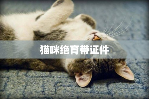 貓咪絕育帶證件