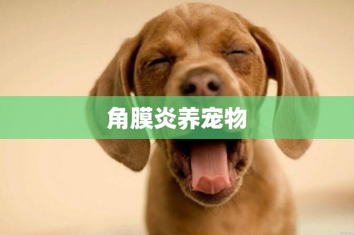 角膜炎養寵物