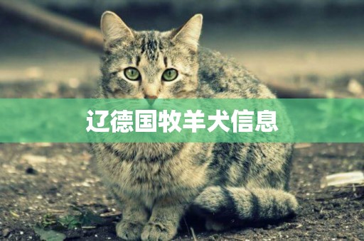 遼德國牧羊犬信息