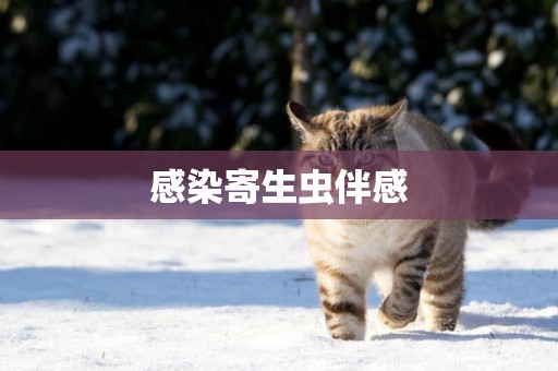感染寄生蟲伴感