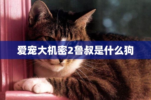 愛寵大機密2魯叔是什么狗