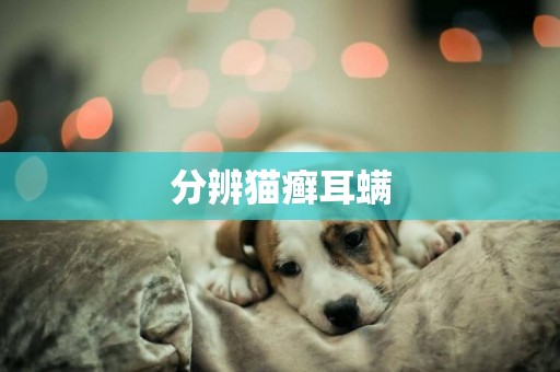 分辨貓癬耳螨