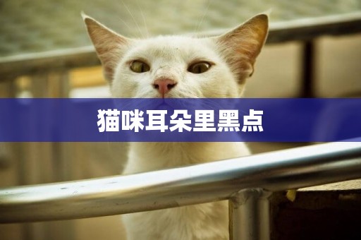 貓咪耳朵里黑點