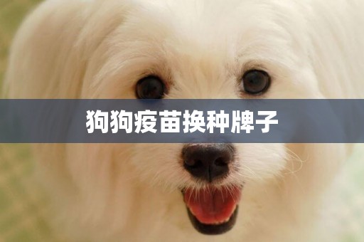 狗狗疫苗換種牌子