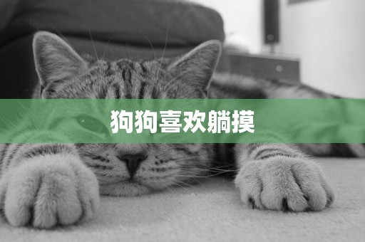 狗狗喜歡躺摸