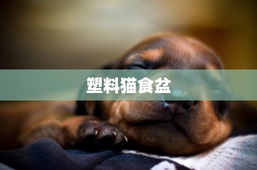 塑料貓食盆