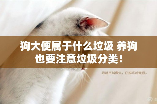 狗大便屬于什么垃圾 養狗也要注意垃圾分類！
