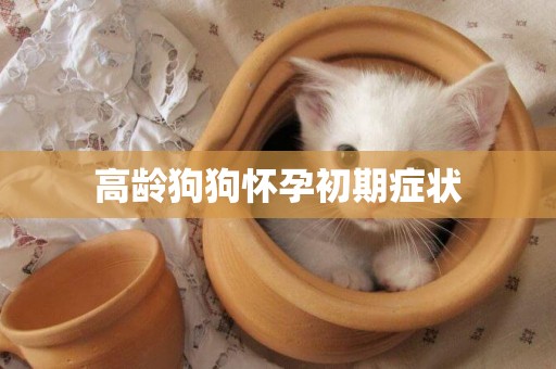 高齡狗狗懷孕初期癥狀