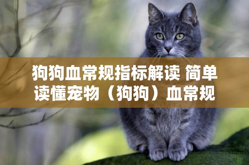 狗狗血常規指標解讀 簡單讀懂寵物（狗狗）血常規