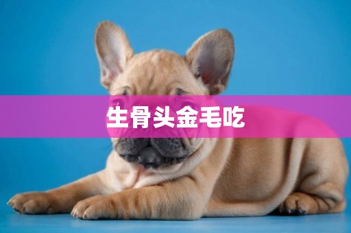 生骨頭金毛吃