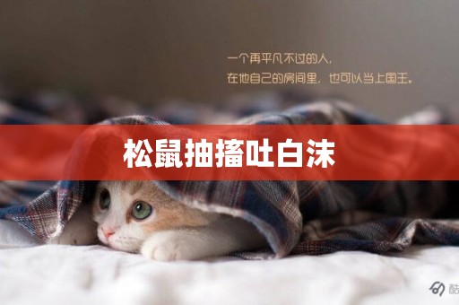松鼠抽搐吐白沫